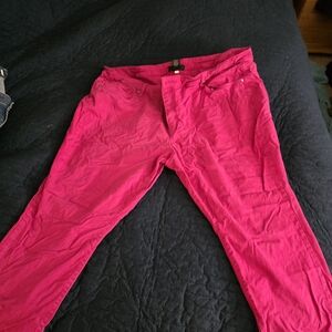 Lane Bryant Hot Pink Straight Leg Jeans